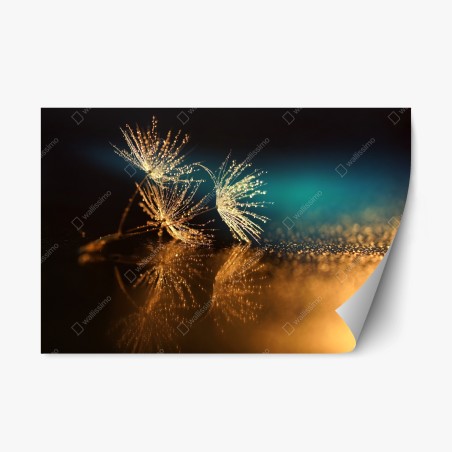 Pegatina reposicionable reflejo dorado de semillas de diente de león – Pixers®