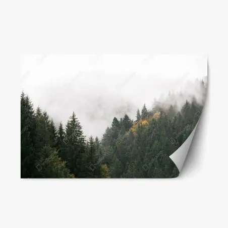 Pegatina reposicionable montañas y abetos envueltos en niebla – Pixers®