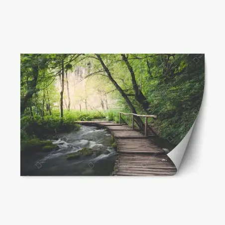Pegatina reposicionable sendero de madera en bosque frondoso junto al río – Pixers®