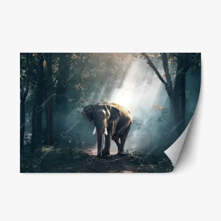 Pegatina reposicionable elefante entre rayos de luz en el bosque – Pixers®