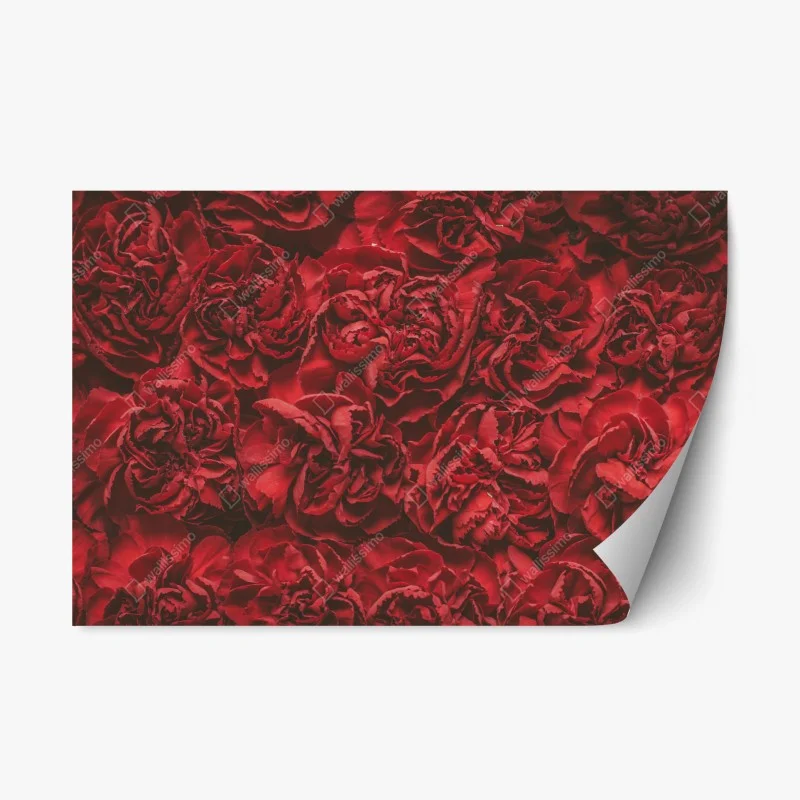 Pegatina reposicionable claveles rojos efecto retro para decoración