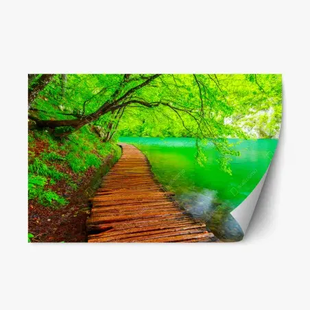 Pegatina reposicionable sendero de madera junto al lago en bosque verde – Pixers®