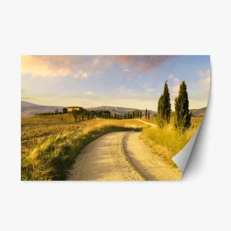 Pegatina reposicionable camino rural en la Toscana al atardecer – Pixers®