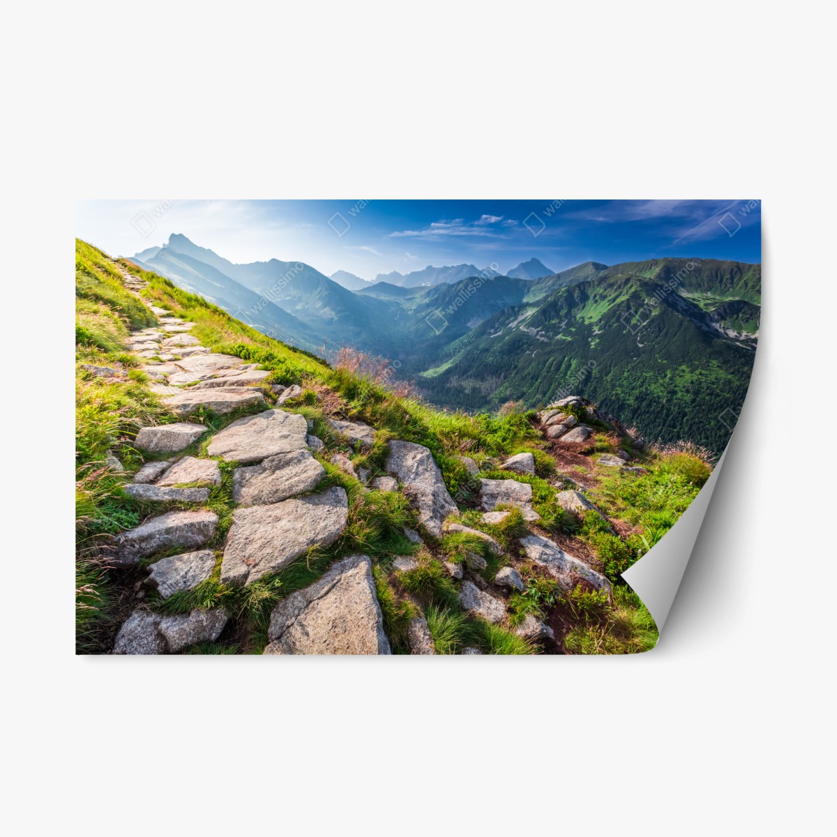 Pegatina reposicionable amanecer en los Tatras: senda hacia la cima – Pixers®