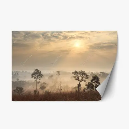 Pegatina reposicionable amanecer en la sabana de Tailandia – Pixers®