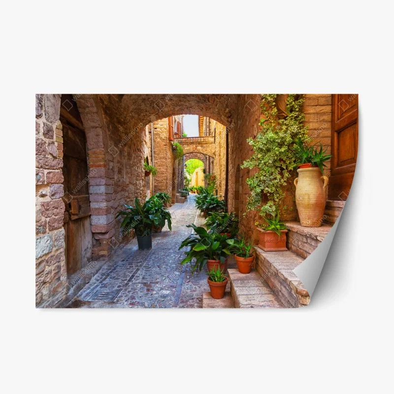 Pegatina reposicionable calle empedrada con macetas en Spello, Umbria