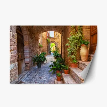 Pegatina reposicionable calle empedrada con macetas en Spello, Umbria – Pixers®