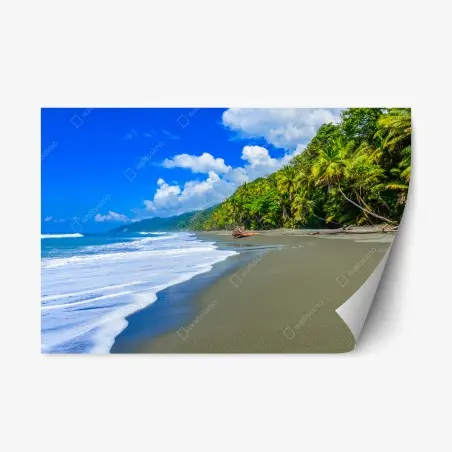 Pegatina reposicionable playa salvaje de Corcovado, Costa Rica – Pixers®