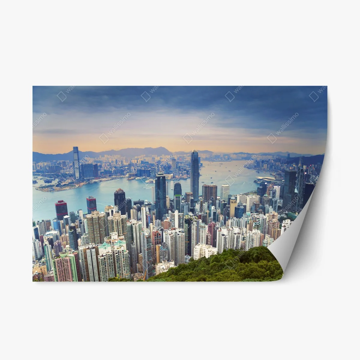Pegatina reposicionable panorámica de Hong Kong al atardecer – Pixers® Pegatina reposicionable panorámica de Hong Kong al atardecer – Pixers®