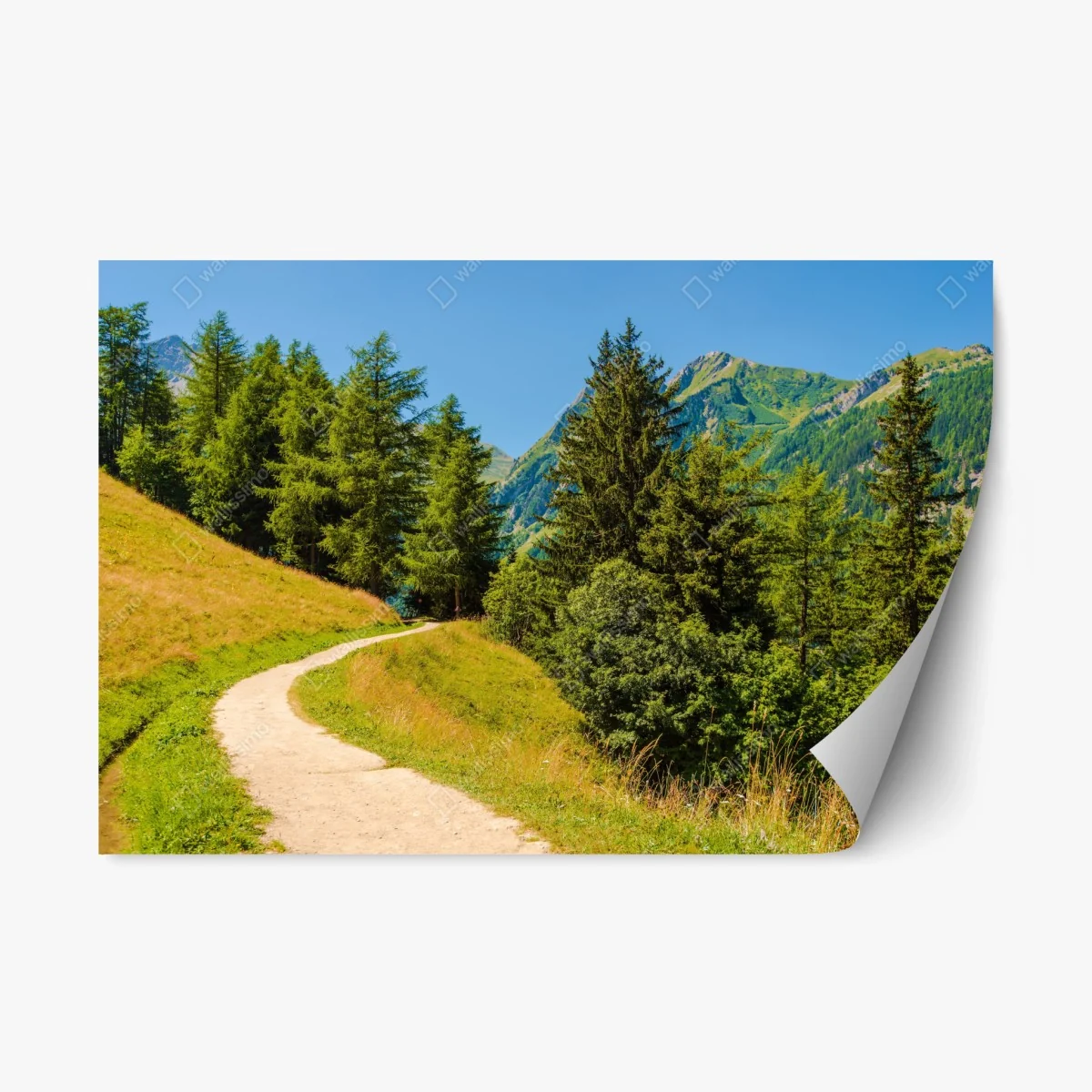 Pegatina reposicionable sendero alpino en Suiza – Pixers® Pegatina reposicionable sendero alpino en Suiza – Pixers®