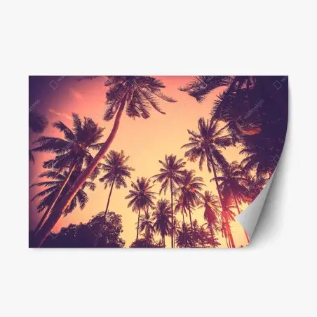 Pegatina reposicionable atardecer tropical vintage con palmeras – Pixers®