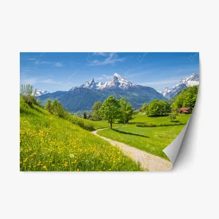 Pegatina reposicionable paisaje alpino con sendero entre praderas floridas – Pixers®