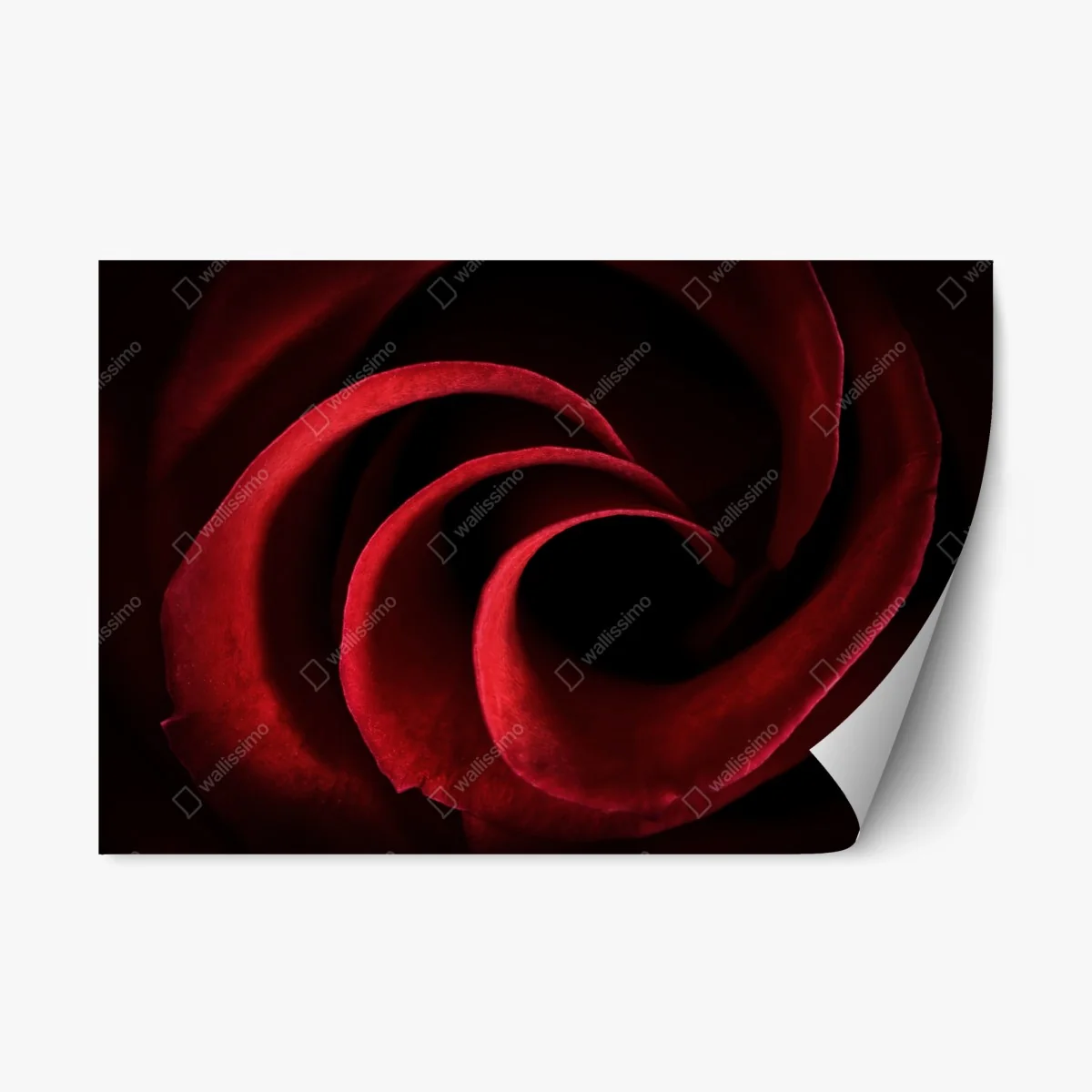 Pegatina reposicionable espiral de pétalos rojos – Pixers® Pegatina reposicionable espiral de pétalos rojos – Pixers®