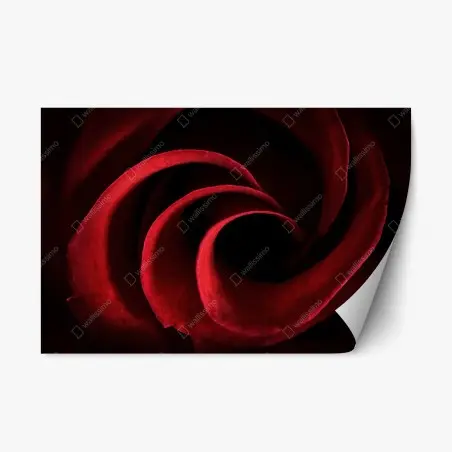 Pegatina reposicionable espiral de pétalos rojos – Pixers®