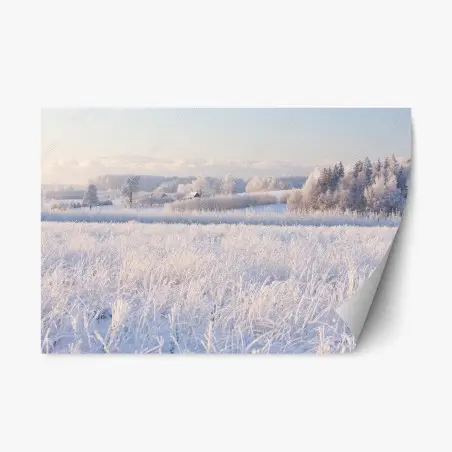 Pegatina reposicionable paisaje invernal con escarcha y luz suave – Pixers®