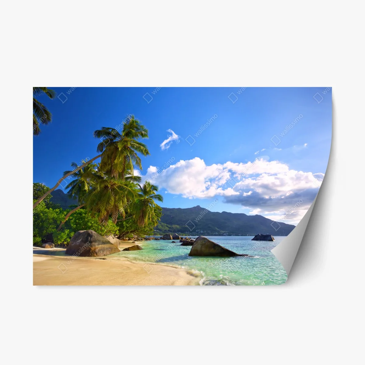 Pegatina reposicionable paraíso tropical en Seychelles – Pixers® Pegatina reposicionable paraíso tropical en Seychelles – Pixers®