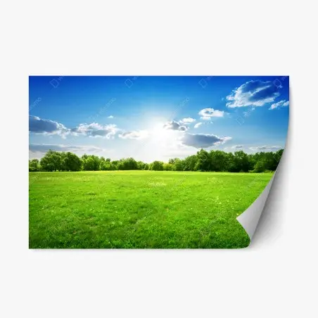 Pegatina reposicionable amanecer sobre pradera verde y cielo azul – Pixers®