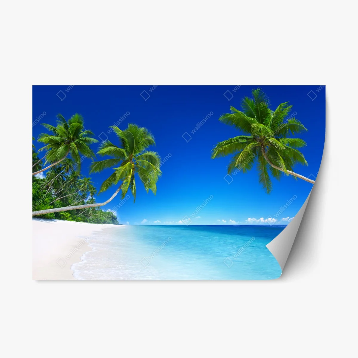 Pegatina reposicionable paraíso tropical con palmeras y mar turquesa – Pixers® Pegatina reposicionable paraíso tropical con palmeras y mar turquesa – Pixers®