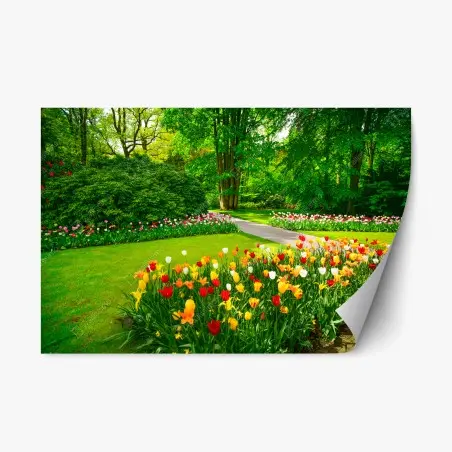 Pegatina reposicionable jardín de tulipanes en Keukenhof – Pixers®