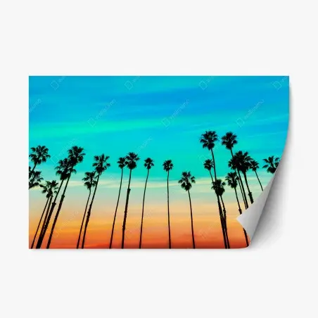 Pegatina reposicionable atardecer en Santa Barbara con palmeras – Pixers®