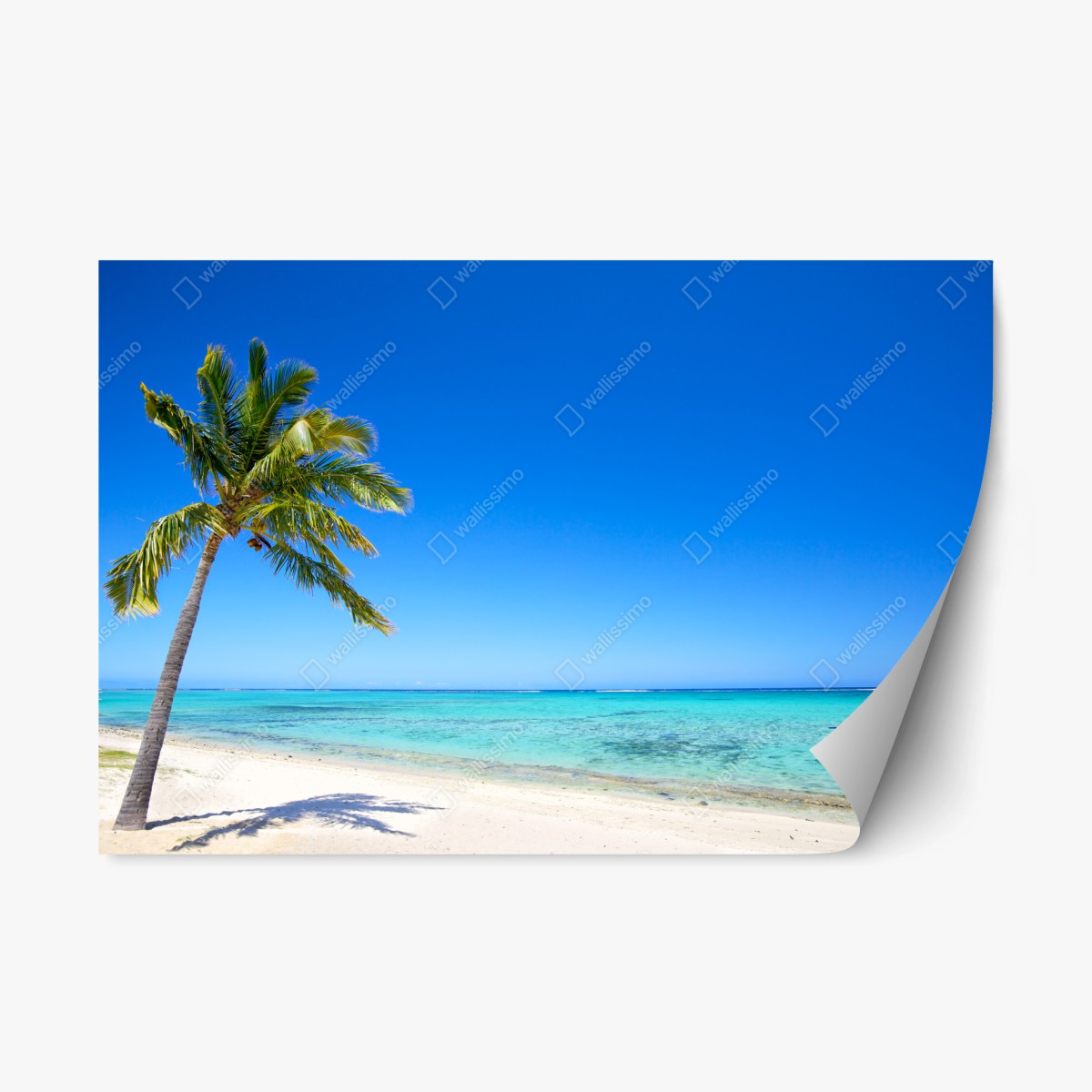 Pegatina reposicionable paraíso tropical con palmera junto al mar – Pixers®