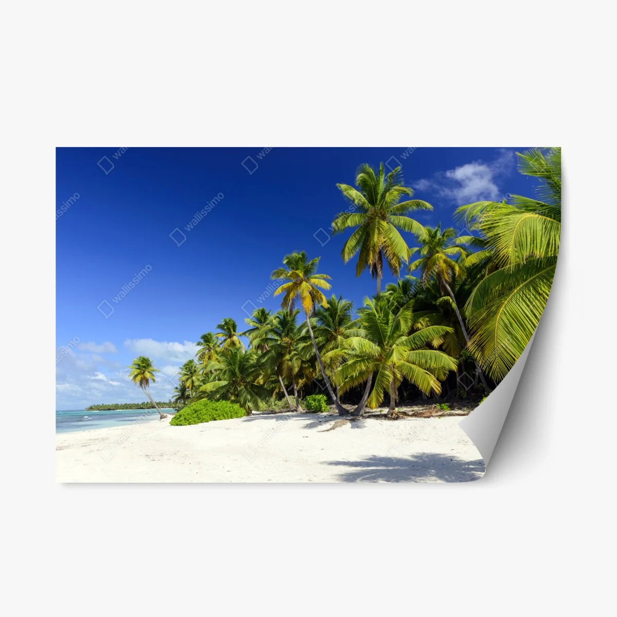 Pegatina reposicionable paraíso caribeño en Punta Cana – Pixers® Pegatina reposicionable paraíso caribeño en Punta Cana – Pixers®