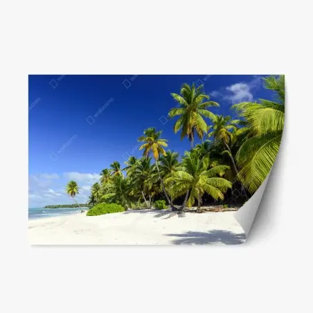 Pegatina reposicionable paraíso caribeño en Punta Cana – Pixers®