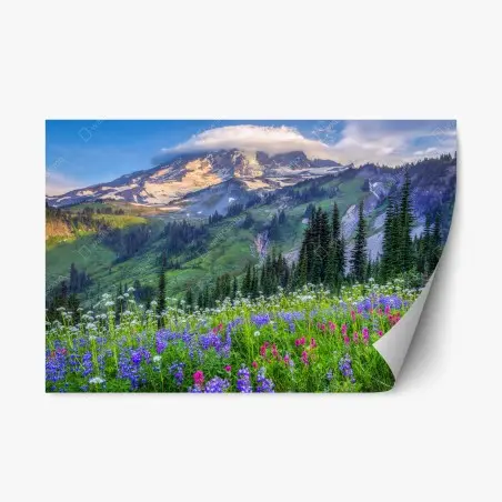 Pegatina reposicionable paisaje alpino de flores silvestres al atardecer – Pixers®