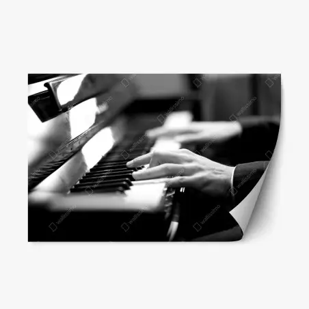 Pegatina reposicionable manos al piano en blanco y negro – Pixers®