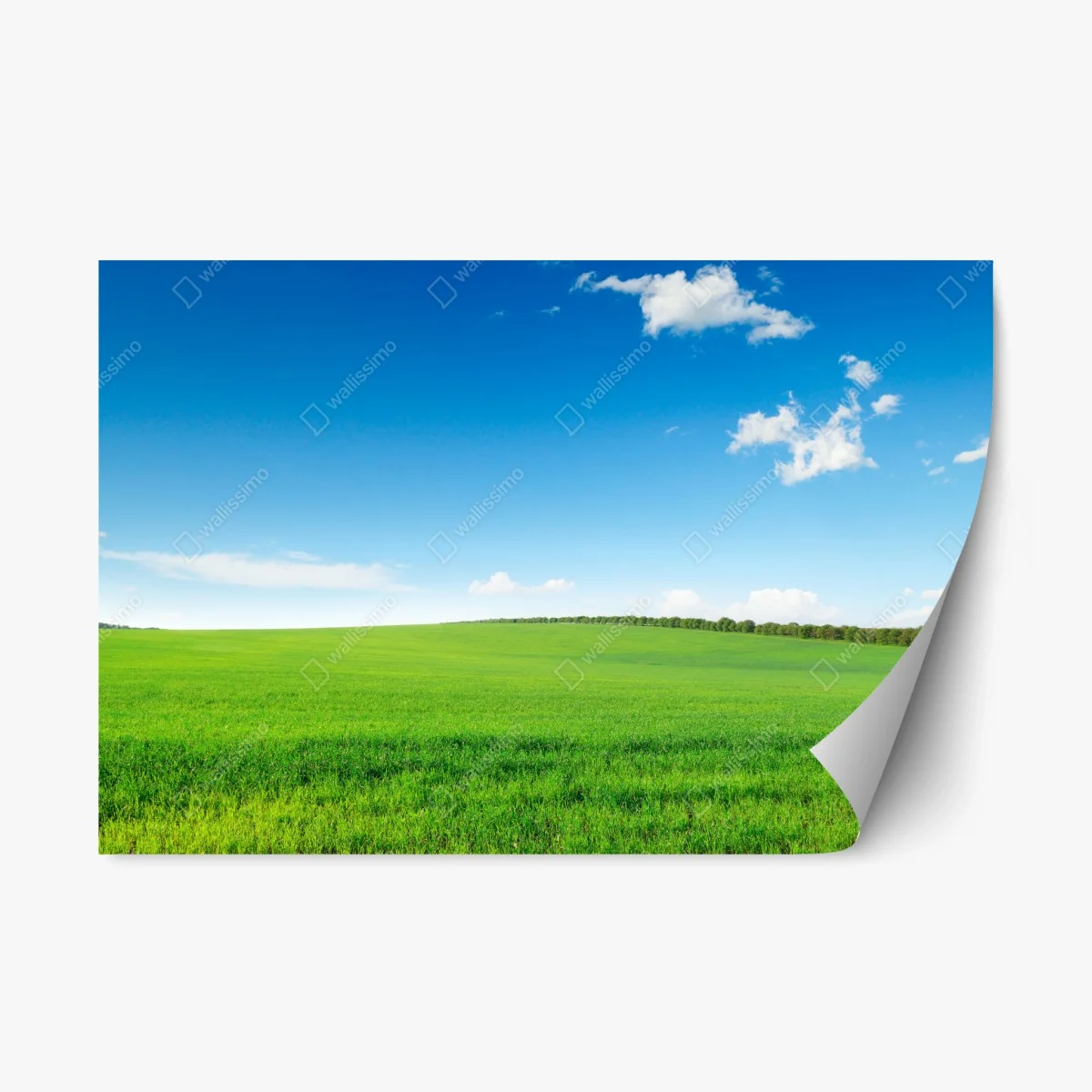 Pegatina reposicionable paisaje sereno de pradera verde y cielo azul – Pixers® Pegatina reposicionable paisaje sereno de pradera verde y cielo azul – Pixers®