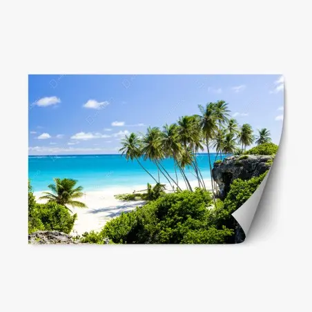 Pegatina reposicionable bahía paradisíaca en Bottom Bay, Barbados – Pixers®