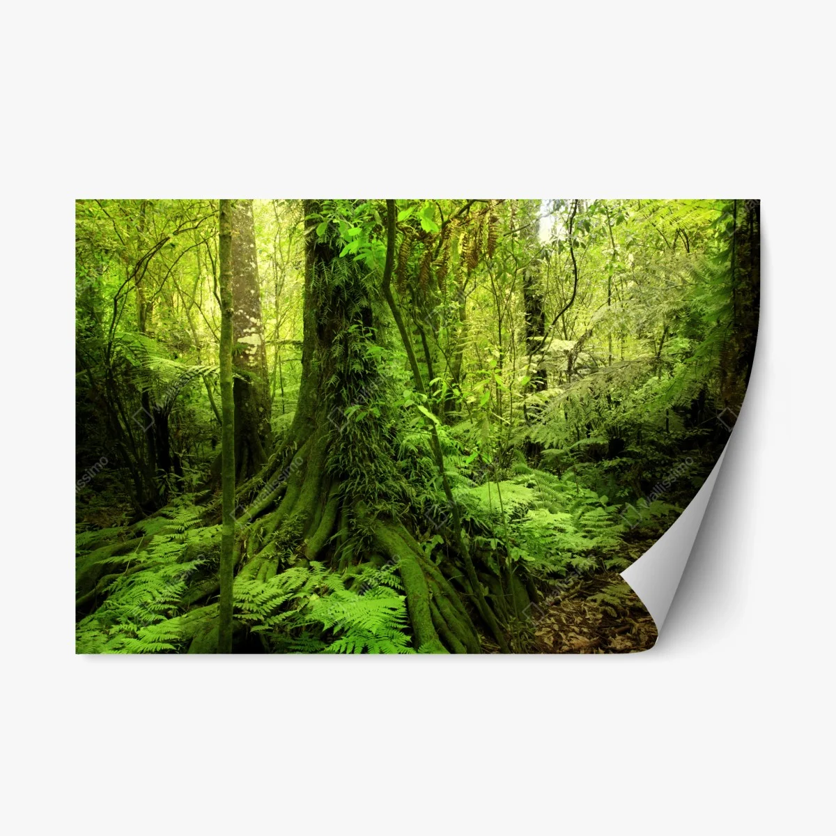 Pegatina reposicionable selva esmeralda: paisaje verde exuberante – Pixers® Pegatina reposicionable selva esmeralda: paisaje verde exuberante – Pixers®
