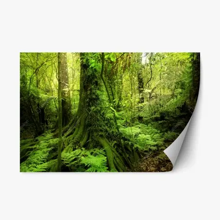Pegatina reposicionable selva esmeralda: paisaje verde exuberante – Pixers®