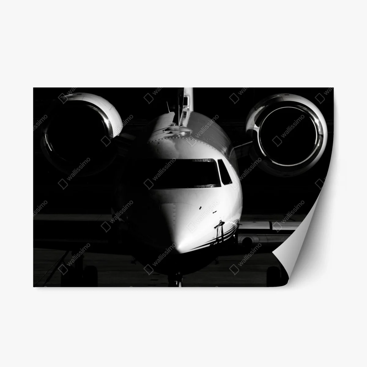 Pegatina reposicionable avión privado en primer plano en blanco y negro – Pixers® Pegatina reposicionable avión privado en primer plano en blanco y negro – Pixers®