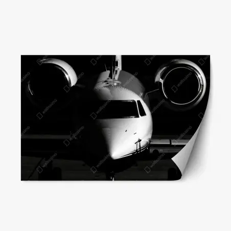 Pegatina reposicionable avión privado en primer plano en blanco y negro – Pixers®