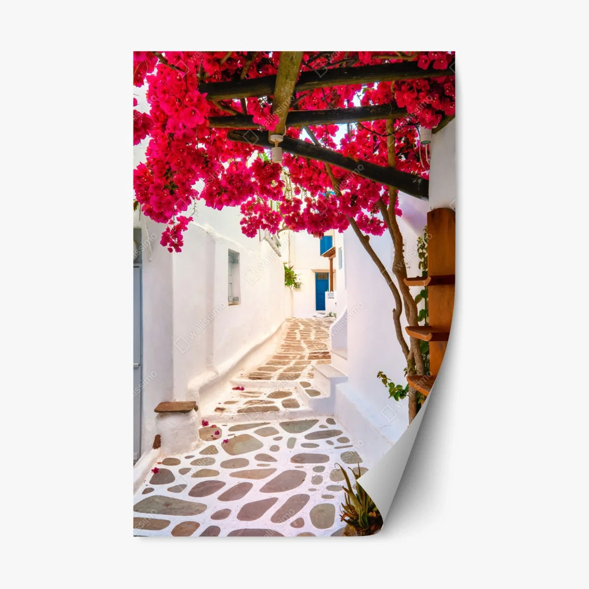 Pegatina reposicionable calle mediterránea con buganvillas rosas – Pixers® Pegatina reposicionable calle mediterránea con buganvillas rosas – Pixers®