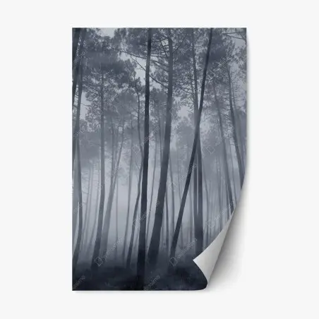 Pegatina reposicionable bosque de pinos en niebla nocturna – Pixers®