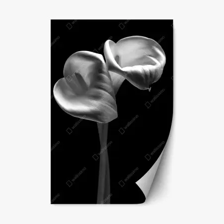 Pegatina reposicionable elegancia de calas en blanco y negro – Pixers®