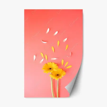 Pegatina reposicionable gerberas amarillas sobre fondo coral minimalista – Pixers®