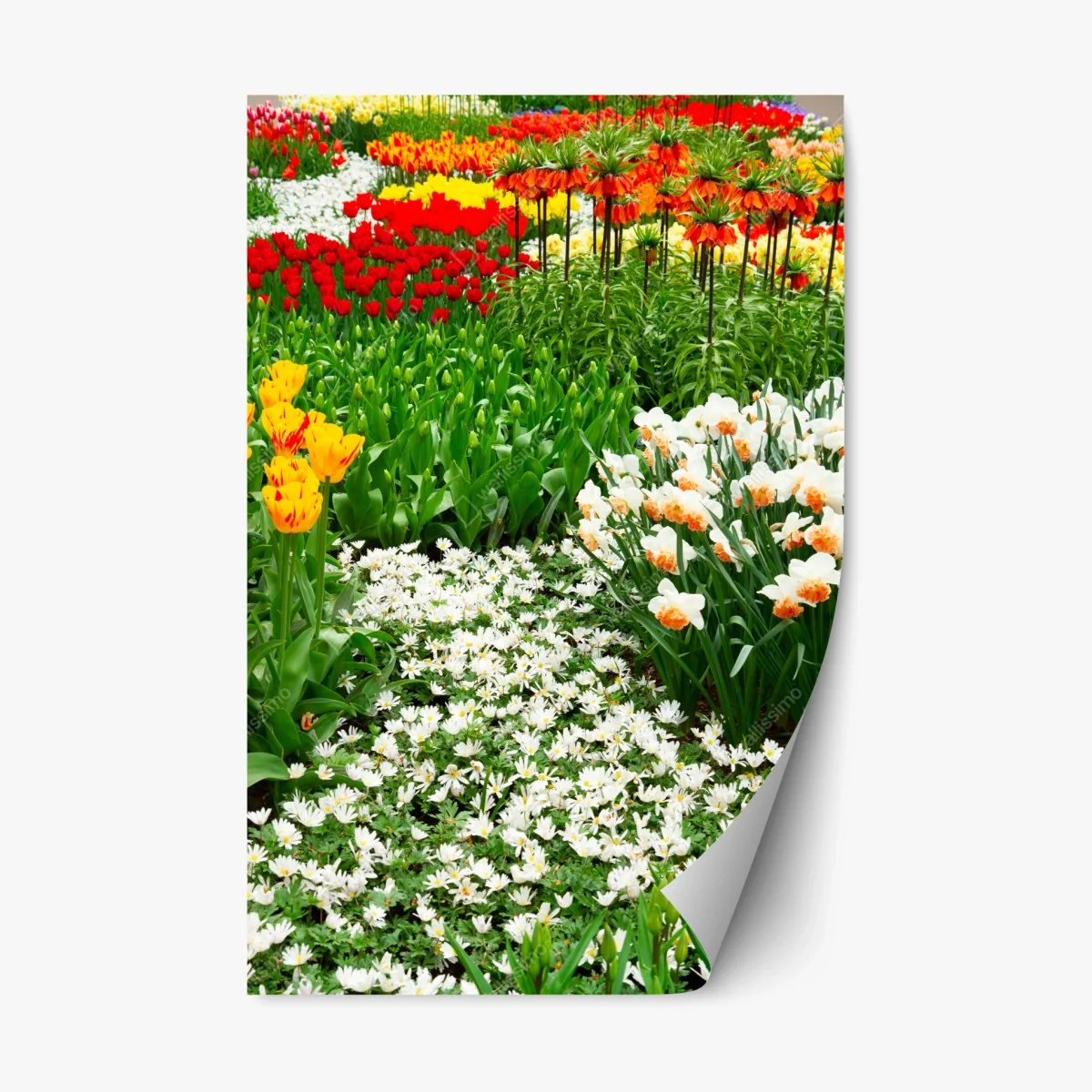 Pegatina reposicionable explosión de color primaveral en el jardín – Pixers® Pegatina reposicionable explosión de color primaveral en el jardín – Pixers®