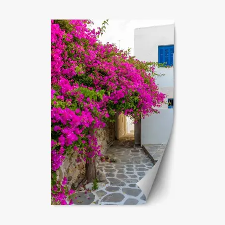 Pegatina reposicionable callejón en Naousa, Paros con buganvillas fucsias – Pixers®