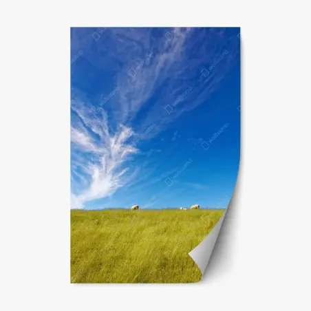 Pegatina reposicionable pradera serena bajo un cielo azul – Pixers®