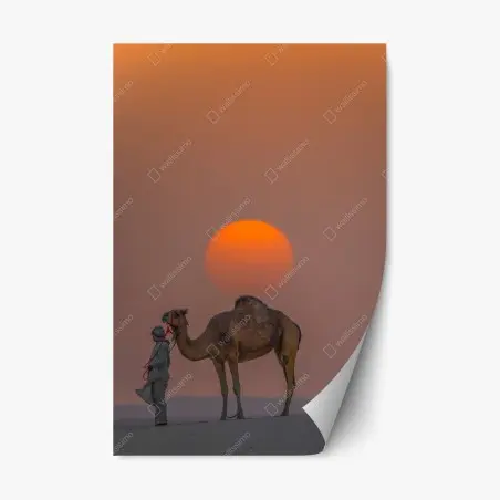 Pegatina reposicionable atardecer en el desierto con camello – Pixers®