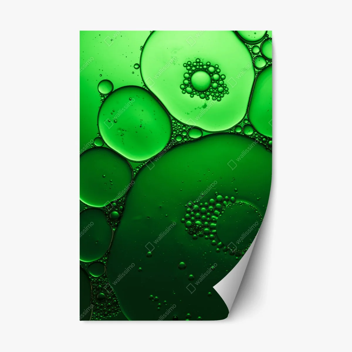 Pegatina reposicionable composición de burbujas verdes abstractas – Pixers® Pegatina reposicionable composición de burbujas verdes abstractas – Pixers®