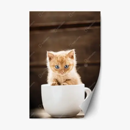 Pegatina reposicionable gatito pelirrojo en taza sobre fondo rústico – Pixers®