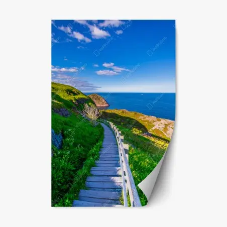 Pegatina reposicionable sendero costero hacia el mar bajo cielo azul – Pixers®
