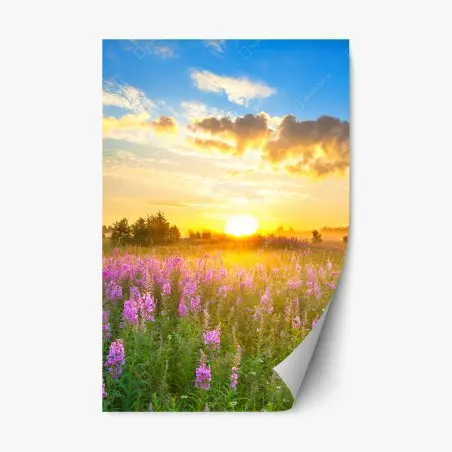 Pegatina reposicionable amanecer en pradera florecida – Pixers®