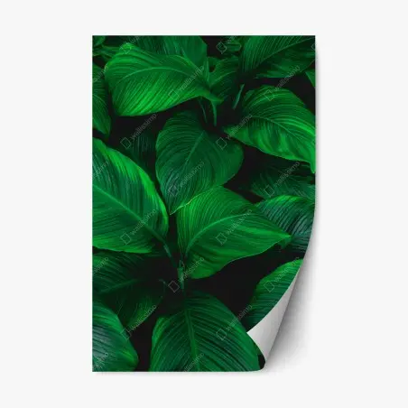 Pegatina reposicionable follaje tropical en tonos verdes intensos – Pixers®