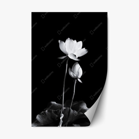 Pegatina reposicionable loto en contraste monocromo y minimalista – Pixers®