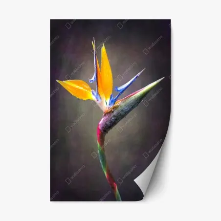 Pegatina reposicionable elegancia tropical de strelitzia – Pixers®